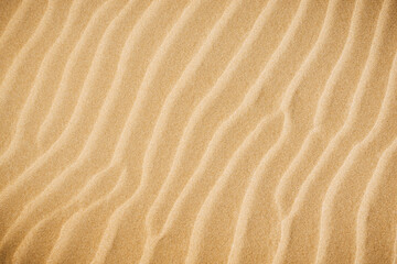 Fototapeta na wymiar Top view of sandy beach and visible sand texture.