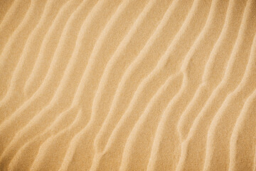 Top view of sandy beach and visible sand texture.