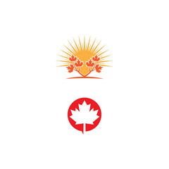 Maple leaf vector illustration