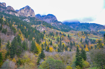 Pontisches Gebirge Arakli-Trabzon / Türkei