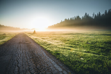 Fototapeta premium Idyllic misty pasture in the sunlight. Locations place Durmitor National park, Montenegro, Balkans, Europe.