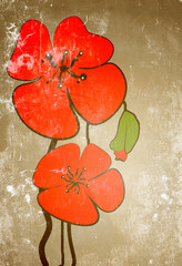 Poppies on the old grunge texture