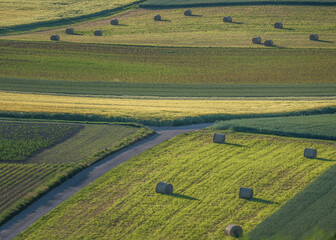 Frisch gerollte Strohrollen auf dem Feld