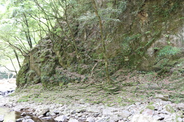 日本の山奥の景色