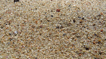 Sand background