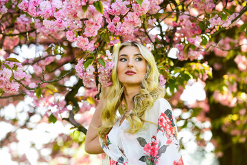 Fototapeta premium Floral aroma. Harmony and female energy. Spring blossoming tree. Spring symbol. Reasons why flowers always make women happy. Happy spring day. Girl enjoy sakura in garden. Cherry tree. Good vibes