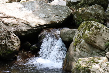 日本の山奥にある滝