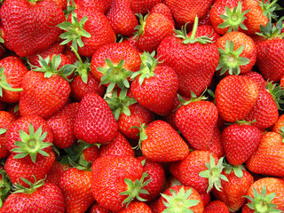 Fresh strawberries as background. Close-up.