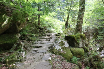 日本の山奥の景色