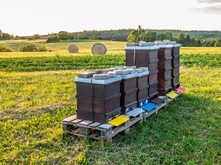 Bienenkästen im Sonnenuntergang