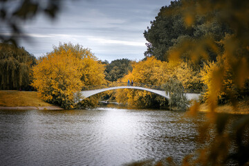 Golden autumn and bridge over the lake in the publuc park