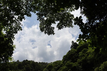 日本の山奥の景色