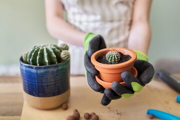 Womans hands in gloves planting young cactus plant in pot