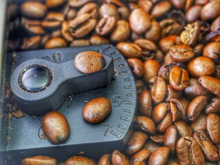 roasted coffee beans