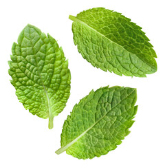 Flying mint leaves, isolated on white background