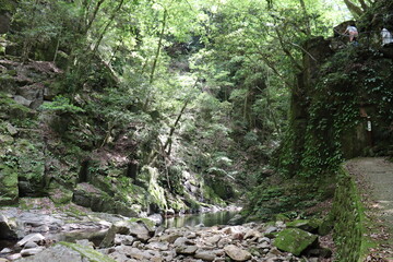 日本の山奥の景色
