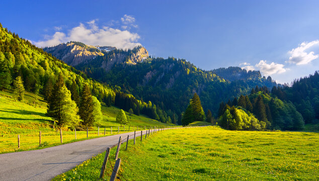 Alpine landscape with spring meadow, forest, road and rocky mountains under blue sky. Allgäu Alps. Bavaria, Germany