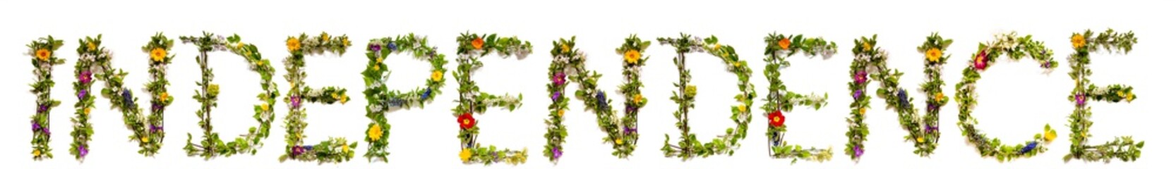 Flower, Branches And Blossom Letter Building English Word Independence. White Isolated Background