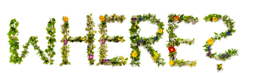 Flower, Branches And Blossom Letter Building English Word Where. White Isolated Background