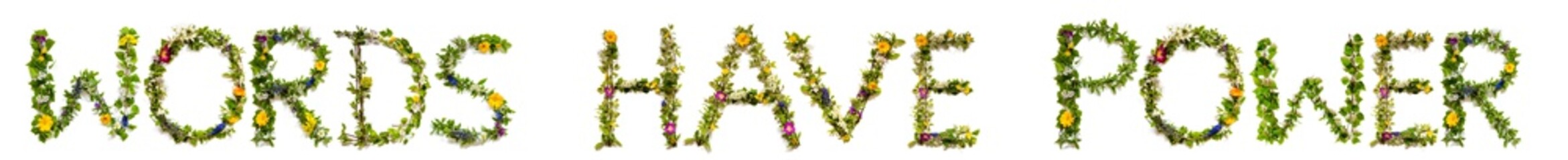 Flower, Branches And Blossom Letter Building English Text Words Have Power. White Isolated Background
