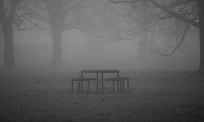 bench in the park in autumn 