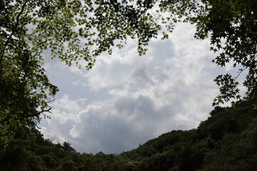 日本の山奥の景色