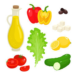 Bright vector illustration of colorful vegetable and oil for salad.