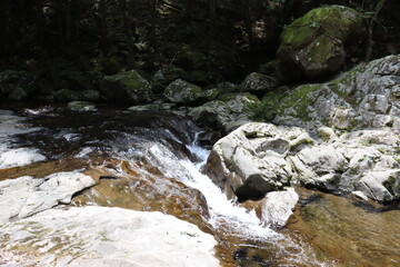 日本の山奥にある滝