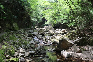日本の山奥にある滝