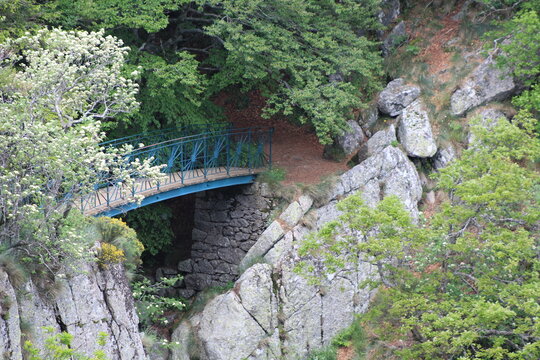 CASCADE D'ORGON
