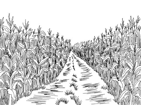 Cornfield Vector Images – Browse 24,332 Stock Photos, Vectors, and Video |  Adobe Stock