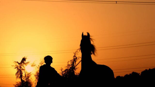 Horseman riding on hourse galloping on sunset in backlight,Horse and man with sunset,selective focus without noise,men try to calm a mad horse in the mountains.