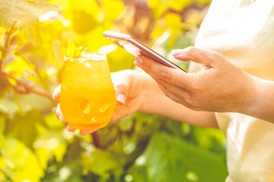 Woman hands using mobile phone and holding refreshing orange drink with ice on summer sunny garden background. Technology in our life at summer time.