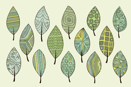 Isolated set of leaves ornament elements. Doodle style.
Decorative components for illustrations.