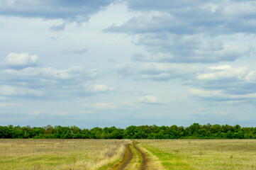 dirt road against a forest belt and sky
