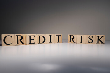 The word credit risk from wooden blocks. Business and banking concept. Spot light on white background. Close up.