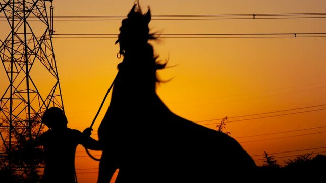 Horseman riding on hourse galloping on sunset in backlight,Horse and man with sunset,selective focus without noise,men try to calm a mad horse in the mountains.