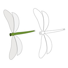 vector, isolated, dragonfly, insect continuous line drawing, sketch