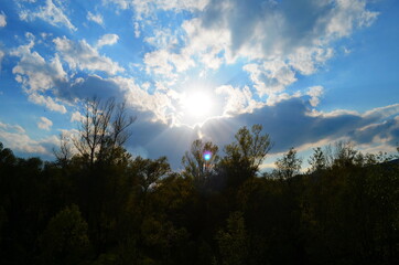 the sky above the trees in the forest