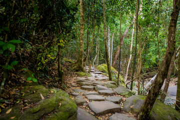 Fototapeta premium Jungle waterfall on Phu Quoc