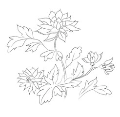 vector illustration of flowers