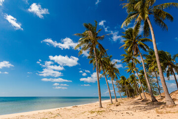 Fototapeta premium Tran Hung Dao beach Phu Quoc Vietnam