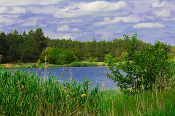 beautiful landscape village lake reeds blue sky