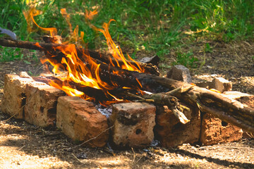 campfire in the forest 