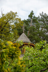 Fototapeta premium old wooden crunch in the forest 