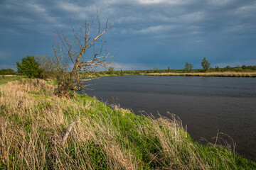 Pilica river at cloudy day near Gostomia, Mazowieckie, Poland - 354290281