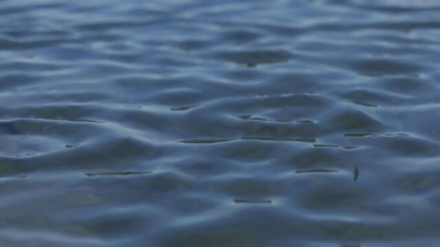 Des goutes d'eau qui tombe dans un lac