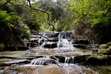 Leura Cascade in NSW Australia