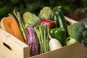 Cesta de verduras frescas y ecologicas lista para repartir a domicilio