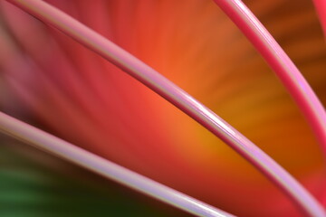 Kolorowa, plastikowa tęcza w mocnym zbliżeniu. © dysania
